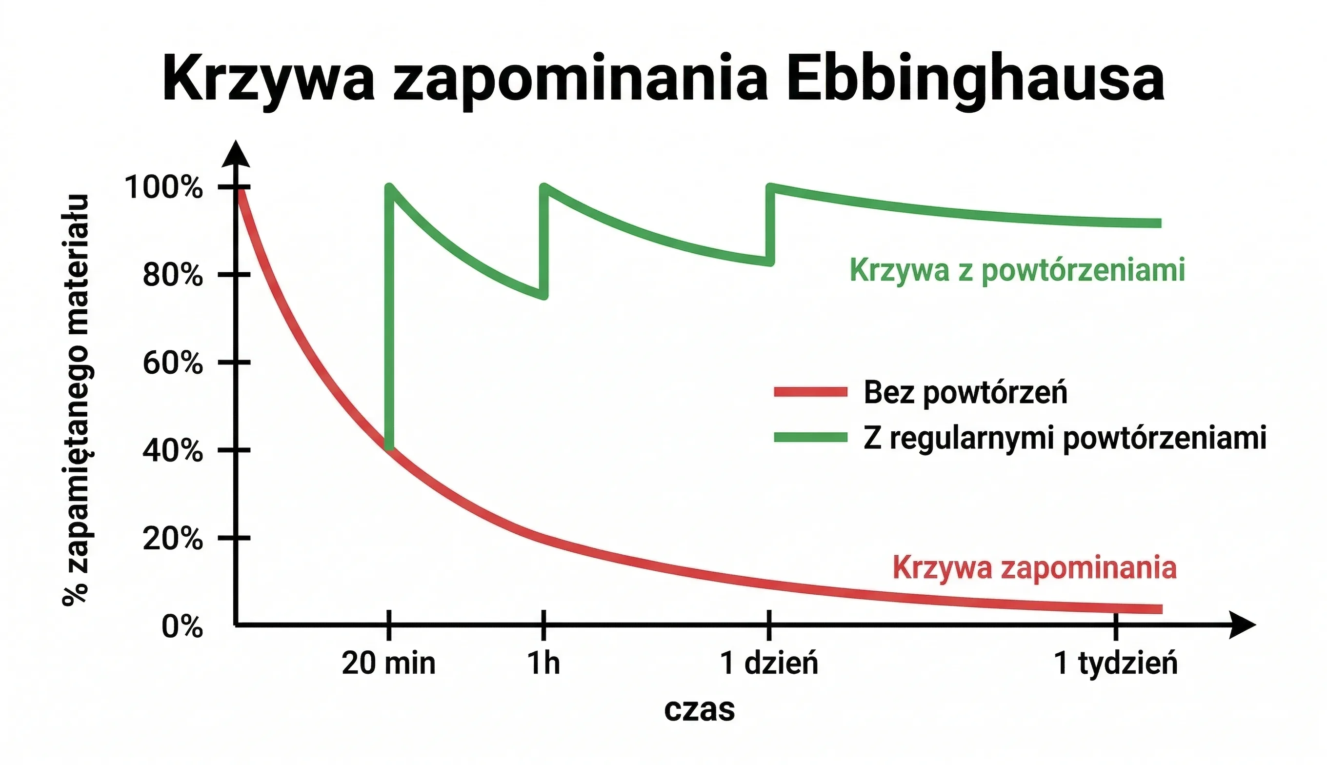 Wykres liniowy pokazujący opadającą krzywą pamięci w czasie (oś X: czas — 20 min, 1h, 1 dzień, 1 tydzień; oś Y: % zapamiętanego materiału). Krzywa mocno opada od 100% w dół. Druga linia pokazująca jak wygląda krzywa przy regularnych powtórzeniach (utrzymuje się wysoko dzięki "skokom" po każdym powtórzeniu). Styl: czysta grafika wektorowa, dwa kontrastowe kolory — czerwony dla krzywej zapominania, zielony dla krzywej z powtórzeniami. Etykiety po polsku